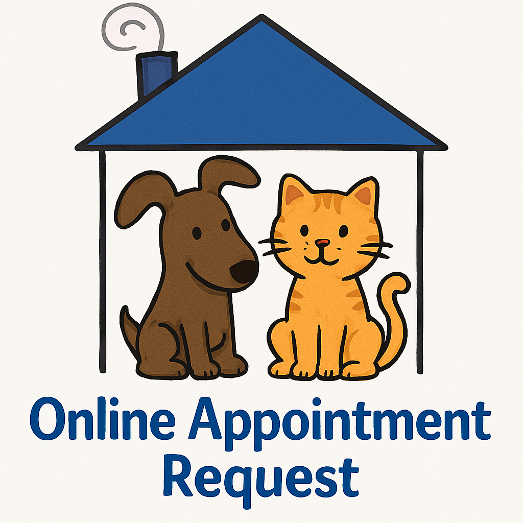carpet cleaning appointment elk grove ca
